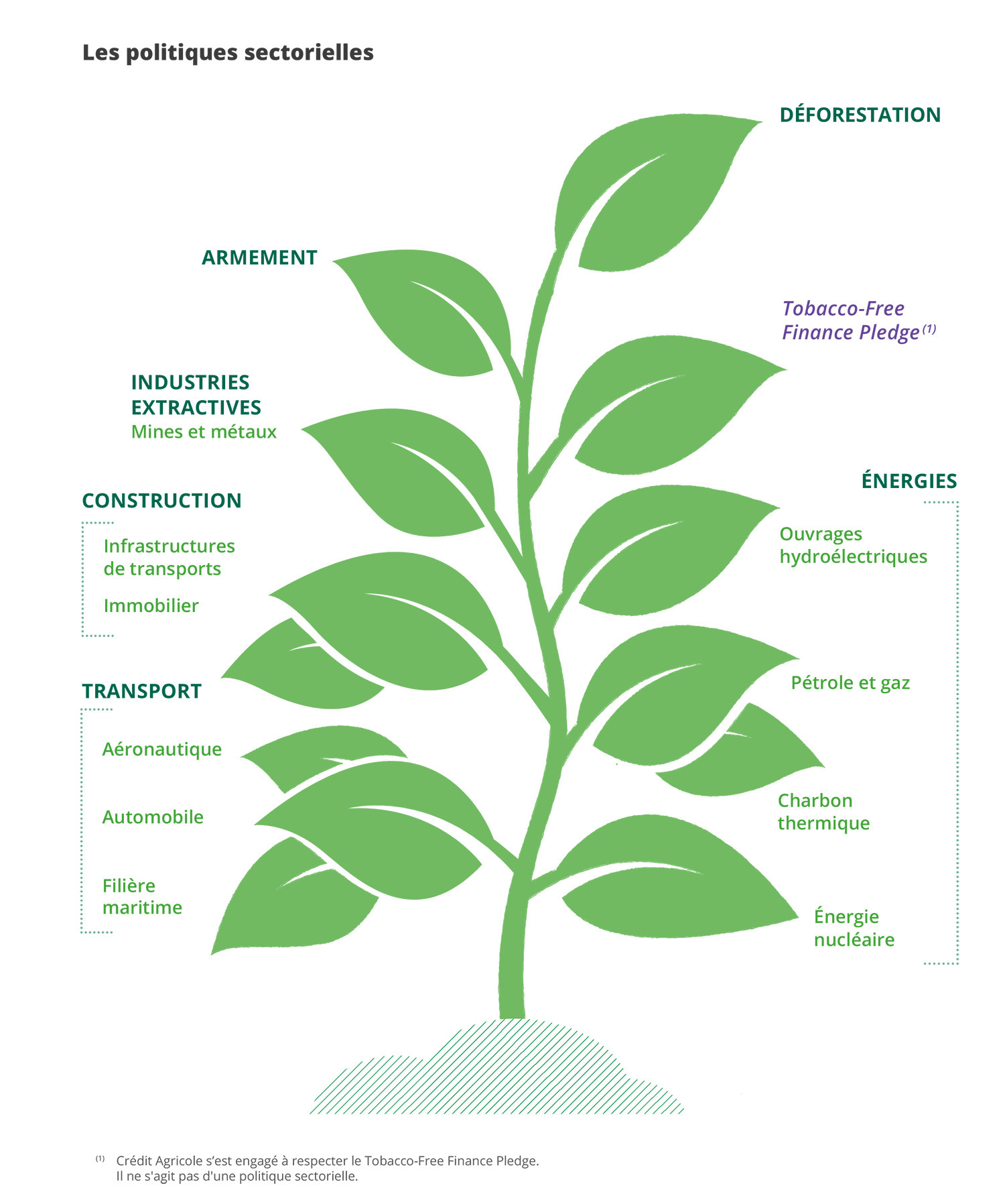 Stratégie_RSE - Les Politiques Sectorielles 2025.jpg