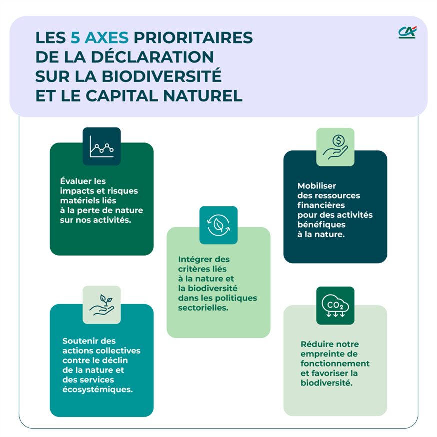 Les 5 Axes prioritaires de la déclaration sur la biodivrersité et le capital naturel.png