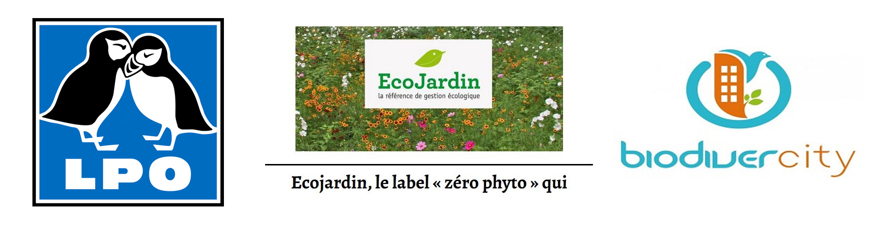 Labels - Réduire notre empreinte de fonctionnement V2.jpg