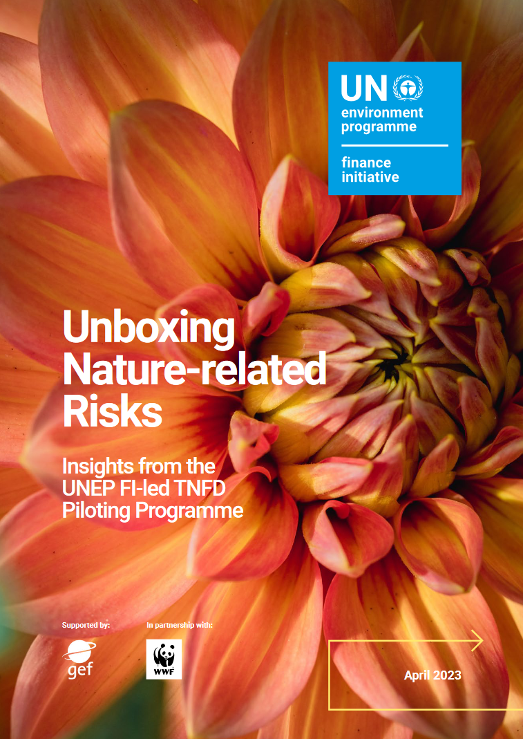 Unboxing Nature-related Risks : Insights from the UNEP FI-led TNFD Piloting Programme