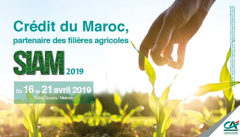 Crédit du Maroc confirme son positionnement en tant que spécialiste du secteur agricole et agro-alimentaire - SIAM