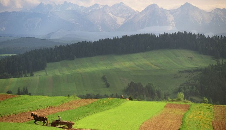 Crédit Agricole Bank Polska supports entrepreneurs