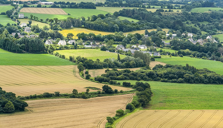 ACTICAM conseille le groupe coopératif EUREDEN dans la cession de 20 sites de collecte de céréales et 6 jardineries grand public