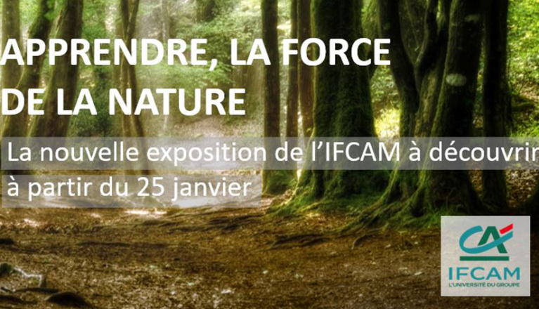 L’IFCAM participe au Festival de l’apprendre avec une nouvelle expo originale - banque credit agricole