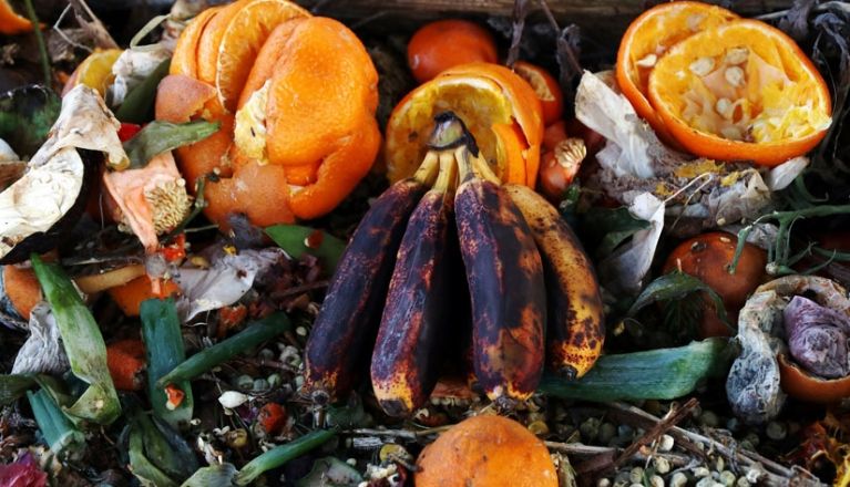 Putting food waste on the table Credit Agricole