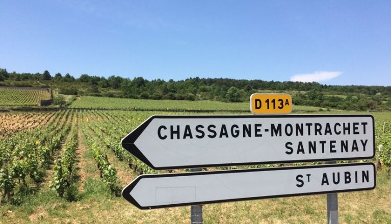 Wine tourism: a behind-the-scenes tour of French vineyards - credit agricole bank and group france