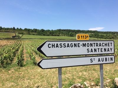 Œnotourisme : bienvenue dans les coulisses des vignobles français - credit agricole groupe et banque france