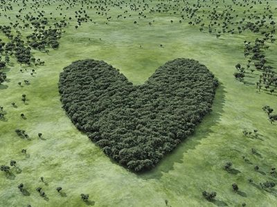 Compensation carbone : réel progrès pour l’environnement ou illusion ?  - credit agricole banque et groupe france