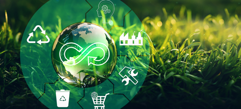 Sustainable Development and the Circular Economy: the role of the AGEC Law
