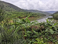 Livelihoods Funds Agroforestry Rwanda