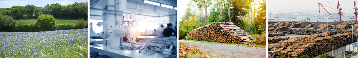 La Chine devra longtemps trouver ailleurs une partie de sa ressource alimentaire - credit agricole banque et groupe france